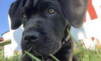 497590585_10074110295954958_8242359833547307598_n