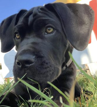 497590585_10074110295954958_8242359833547307598_n