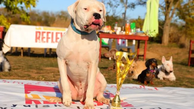 565269100_1146747580306137_5738523282704120026_n