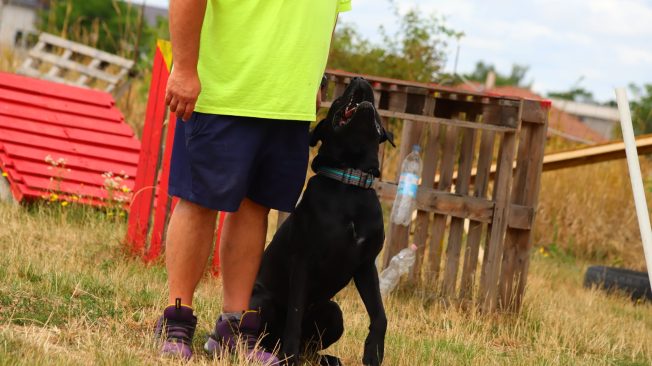 96743e0e-7f62-4d02-8703-a0e2dafa49fd